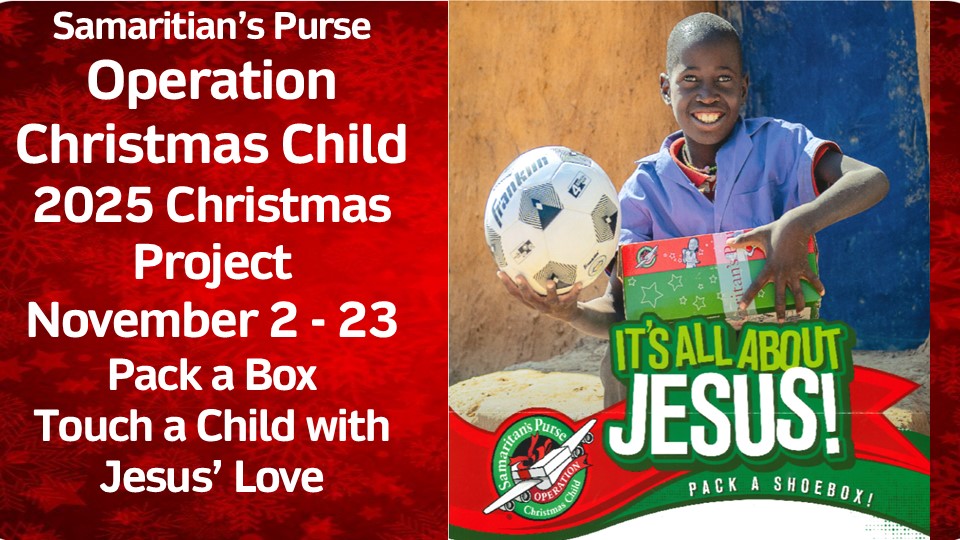 2025 Christmas Project