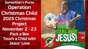 2025 Christmas Project