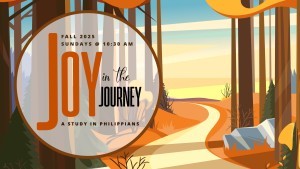Joy in the Journey
