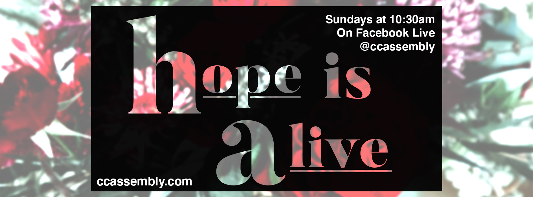 Hope is Alive: The Living Hope of Pentecost